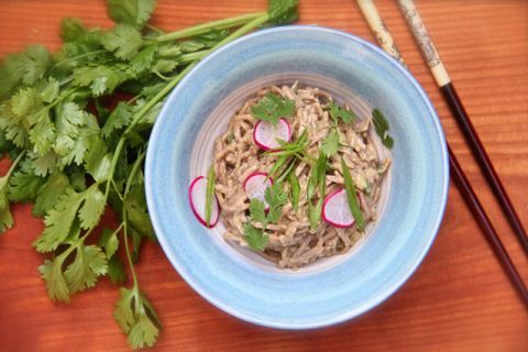 Beyond Pasta: Versatile Zucchini Noodle Recipes & Meal Ideas